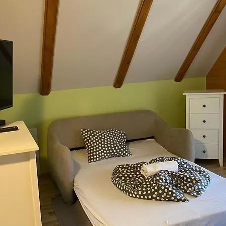 ゲストハウス Csodaszarvas Panzio Es Tajpark 3*