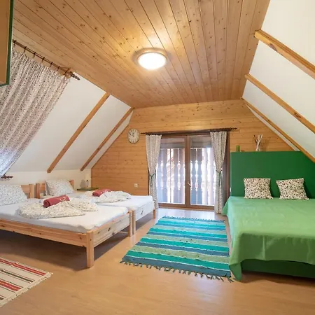 Csodaszarvas Vendeghazak Guest house *